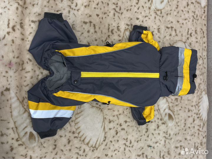 Комбинезон для собаки девочки бронь