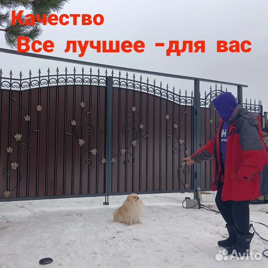 Ворота
