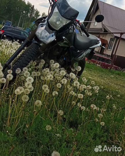 Зид 250