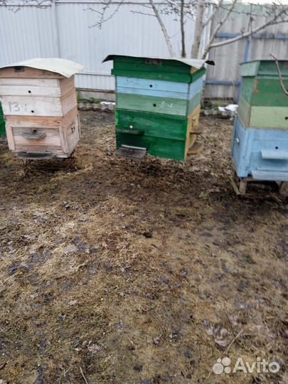 Пчелиные ульи