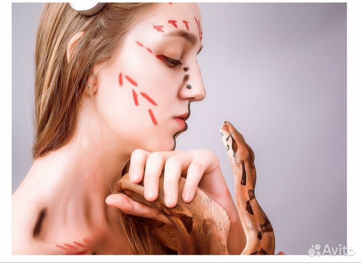 Змея для фотосессий, фотограф