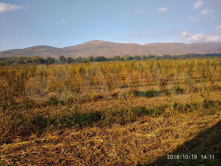 Участок 13,5 сот. (СНТ, ДНП)