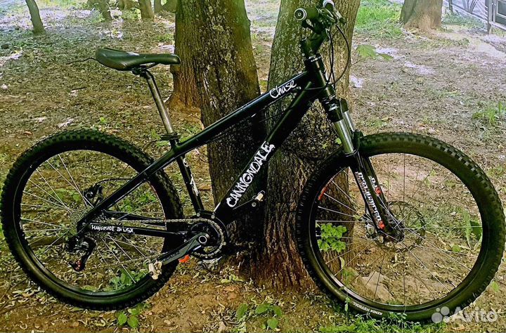 Cannondale chase 1