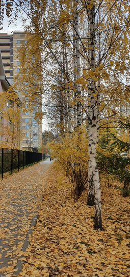 Машиноместо, 17 м²