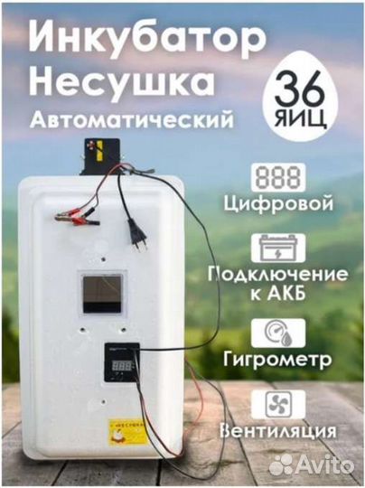 Инкубатор несушка 36