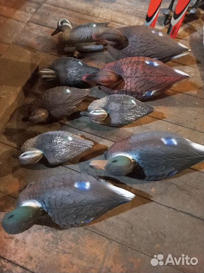 Утки приманки