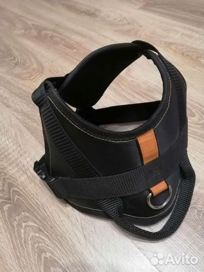 Продам шлейку для собаки