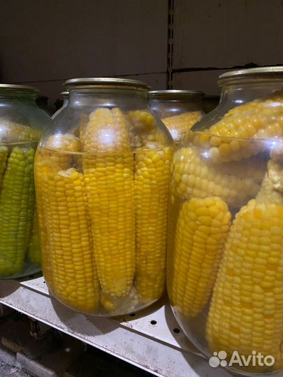 Солёные огурци, помидоры, цветная капуста,кукуруза