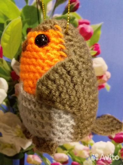 Птичка. Зарянка. Малиновка