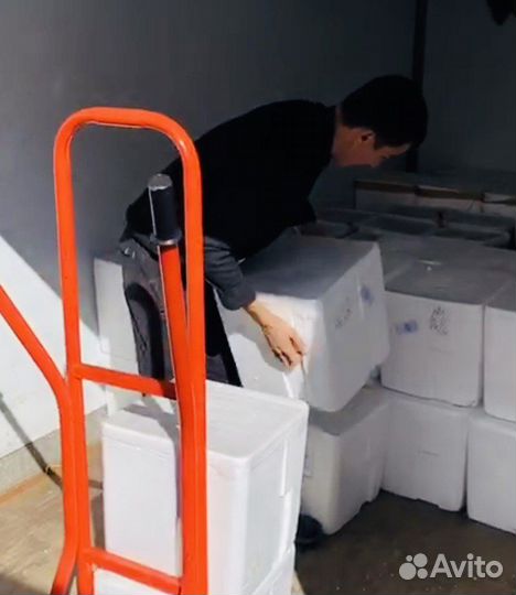 Икра красная опт из Москвы с доставкой в регионы