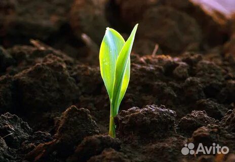 Плодородная земля в мешках