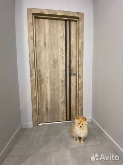 Межкомнатные двери с установкой