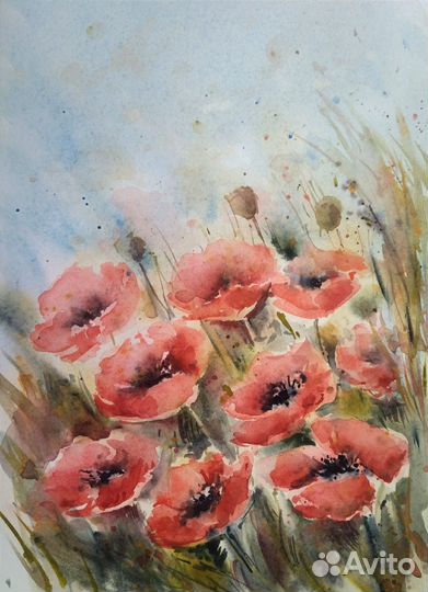Акварель цветы маки