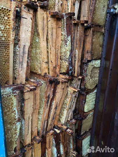Рамки для ульев сушь