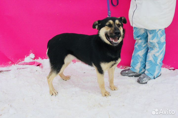 Рут ищет семью