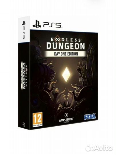 Endless Dungeon PS5