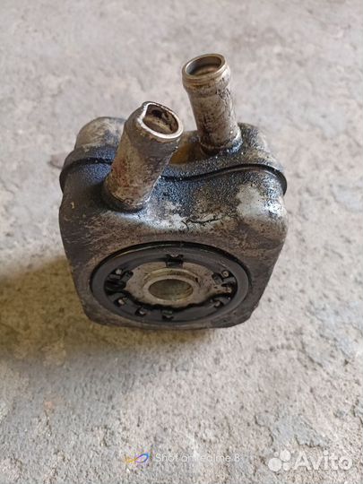 Радиатор масляный volkswagen passat b6