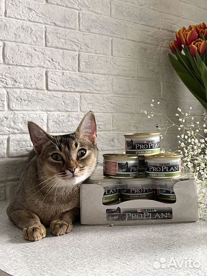 Корм для кошек Pro Plan sterilised (Франция)