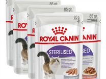 Влажный корм Royal canin + бесплатная доставка