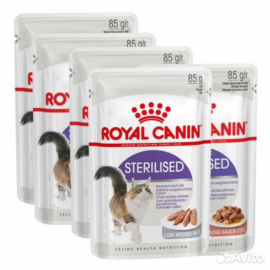 Влажный корм Royal canin + бесплатная доставка