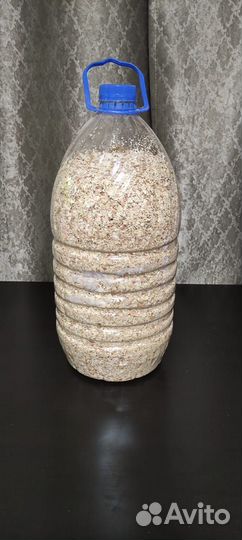 Яичная скорлупа