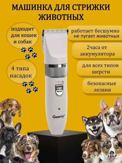 Инфографика для ozon и wildberries