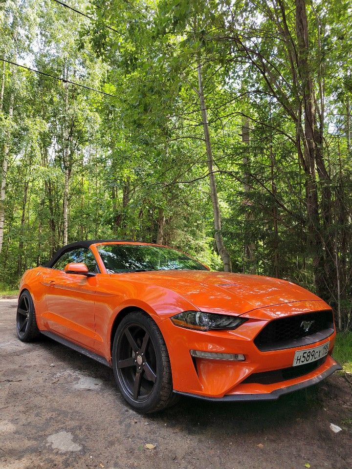 Ford Mustang: фото владельца