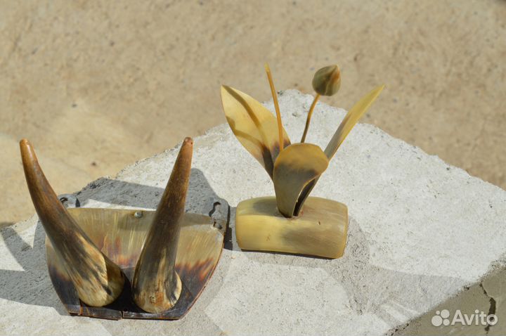 Рога косули