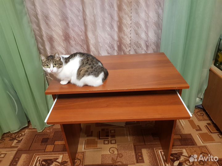 Компьютерный стол