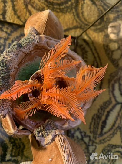 Украшения для аквариума