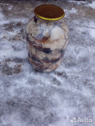 Грибы белые сушеные