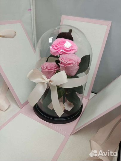 Роза в колбе