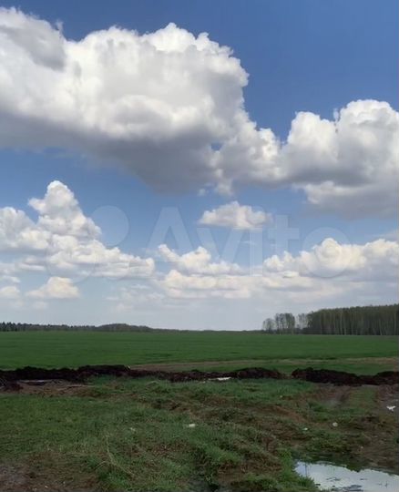 Участок 97,41 га (СНТ, ДНП)