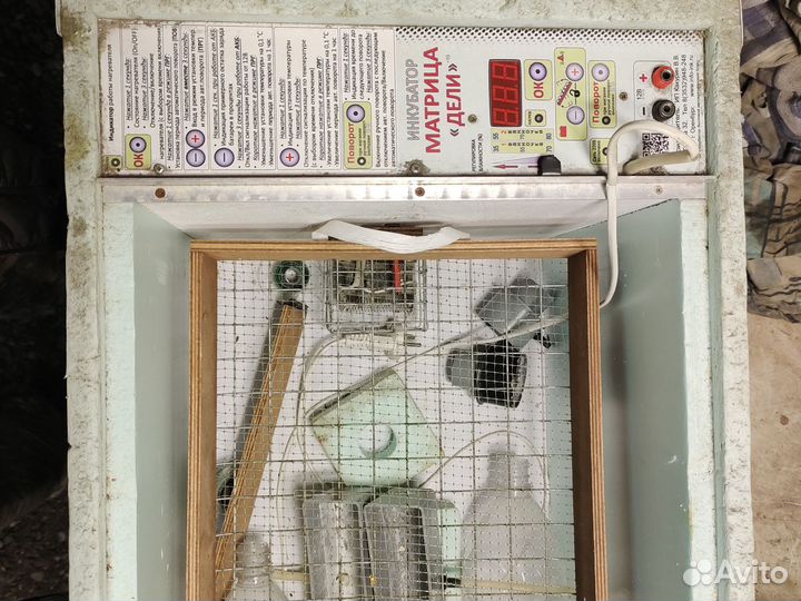 Матрица дели