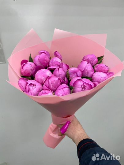 21 пион пионы с доставкой круглосуточно