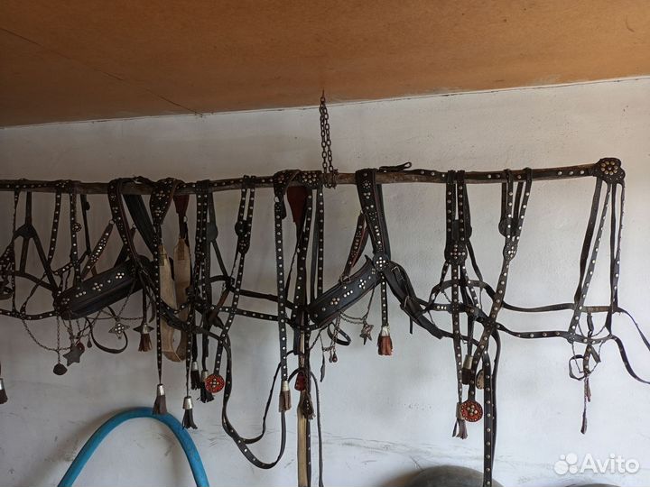 Выездная збруя на тройку