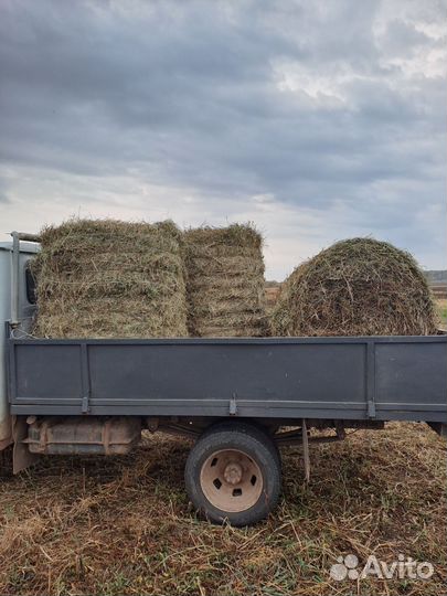 Сено в рулонах