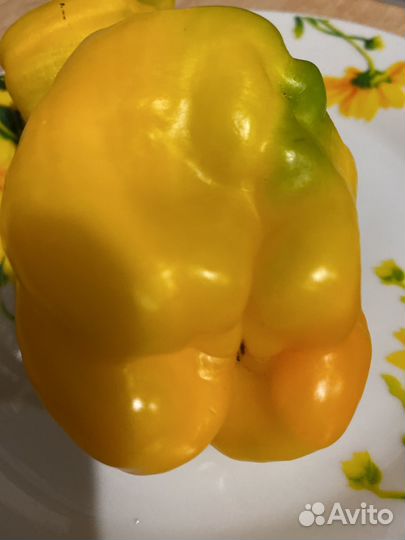 Перец сладкий