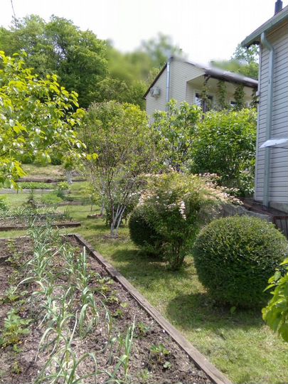 Дом 121 м² на участке 10 сот.