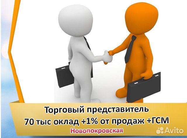 Торговый представитель с авто, обучаем