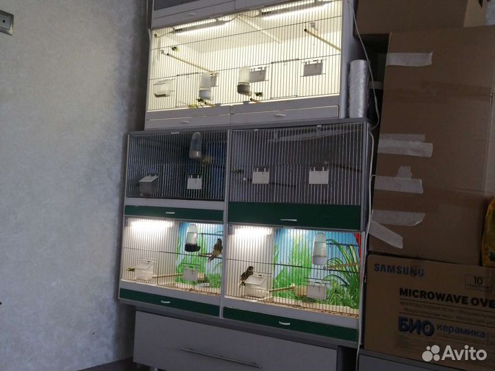 Боксы для птиц