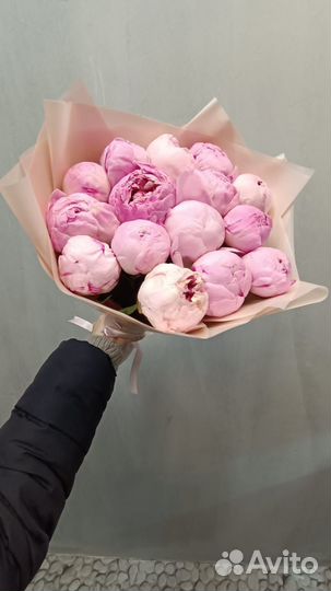 Цветы пионы букет