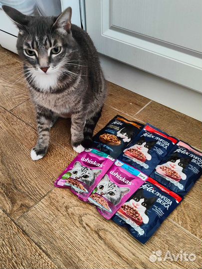 Набор посуды, тарелки и кружка