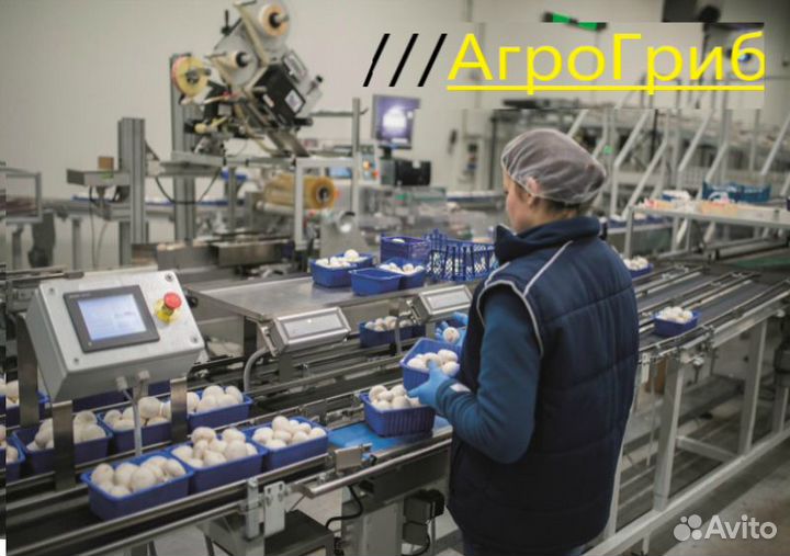 Укладчик упаковщик