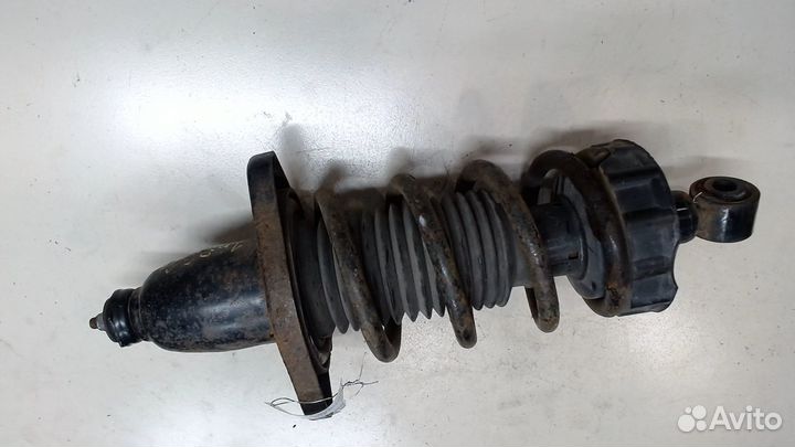 Амортизатор подвески Honda Ridgeline, 2009