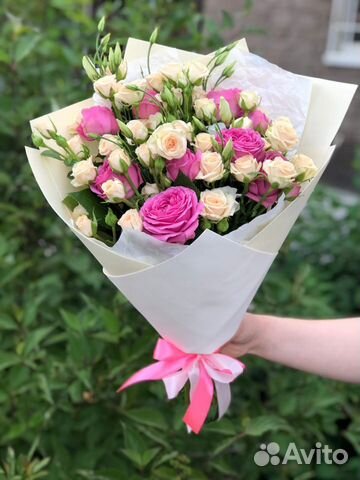 Цветы купить на авито нижний новгород заказать цветы в горшках с доставкой в москве