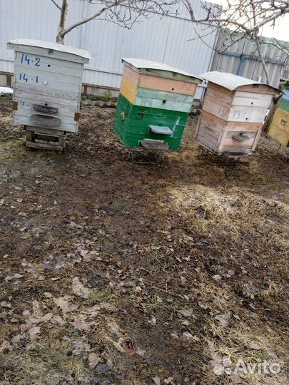 Пчелиные ульи