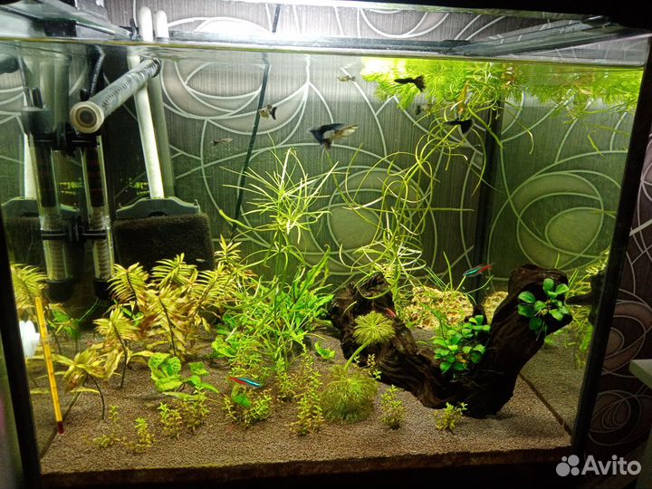 Аквариум 100 литров