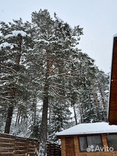 Русская баня на дровах за городом