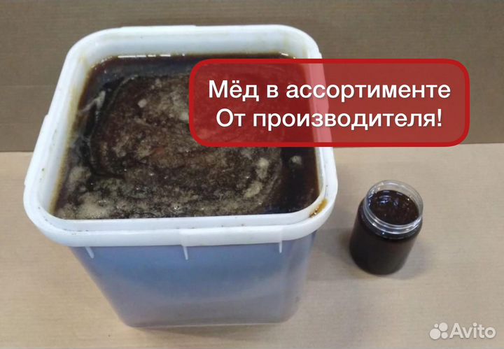 Гречишный мёд оптом из Алтая. Доставка из Барнаула